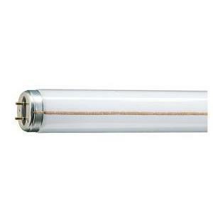 Lampada tl-m rs rapid start diametro tubo 38 mm m rs 40w/33-640 slv/25 m4033