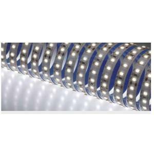 Strip led ip20 10w/m 6000k 1800lm >80 striscia led 50041/f