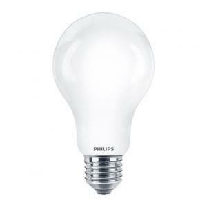 Lampadina led classic 120w a67 e27 classe d  incaled120865