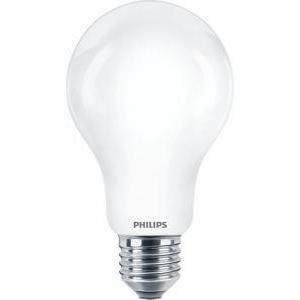 Lampadina led classic 150w a67 e27 cw fr nd 1 incaled150840