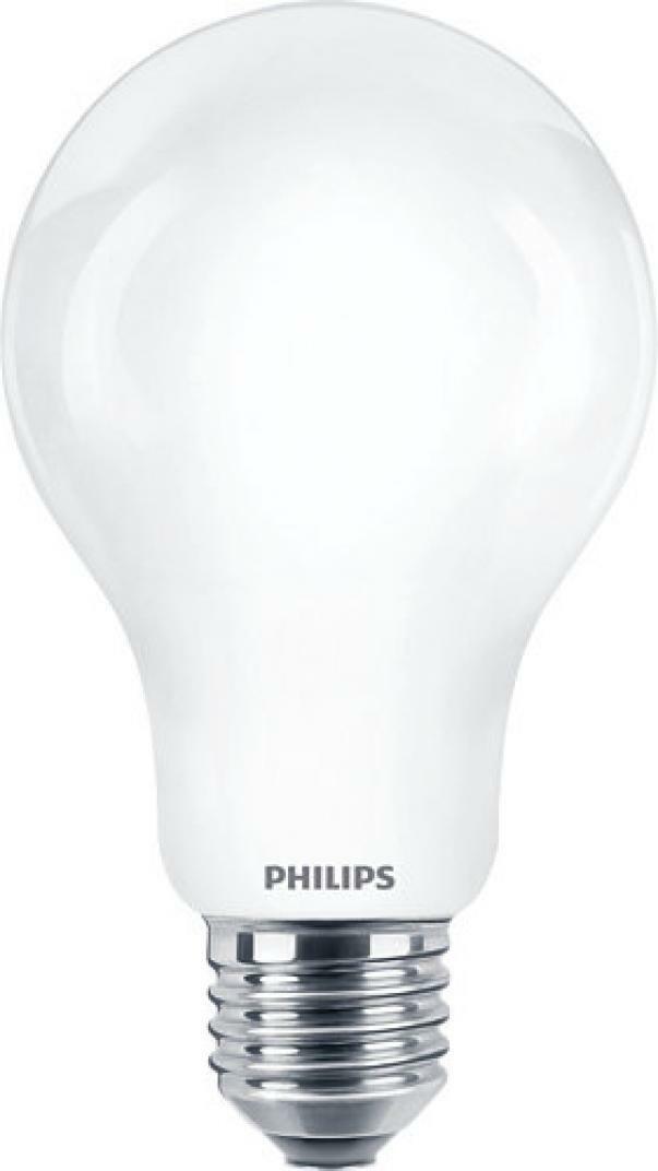 philips philips lampadina led classic 150w a67 e27 cw fr nd 1 incaled150840 - foto 1