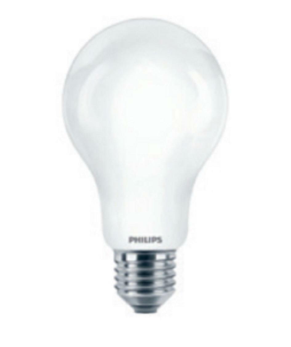 philips philips lampadina led classic 120w a67 e27 ww fr ndrf classe d  incaled120 - foto 1