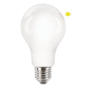 Lampadina led corepro ledbulbnd 120w e27 a67 827 classe efficienza energetica d incaled120g2