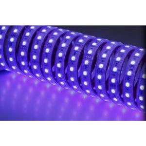 Striscia led 5m 10w/m rgb 120  ip67 80031/rgb