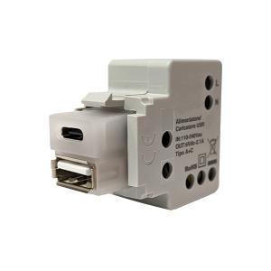 Caricatore  keystone con doppia presa usb io3942100n