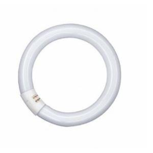 Lampada circolina fliorescente 32w 4200k coolwhite g10q 5455377