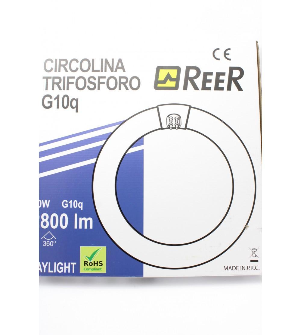 reer reer circolina led 40w 6500k luce fredda g10q 5455381 - foto 2