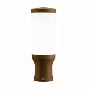 Lampada modello cactus testa palo d60 e27 corten 200/36