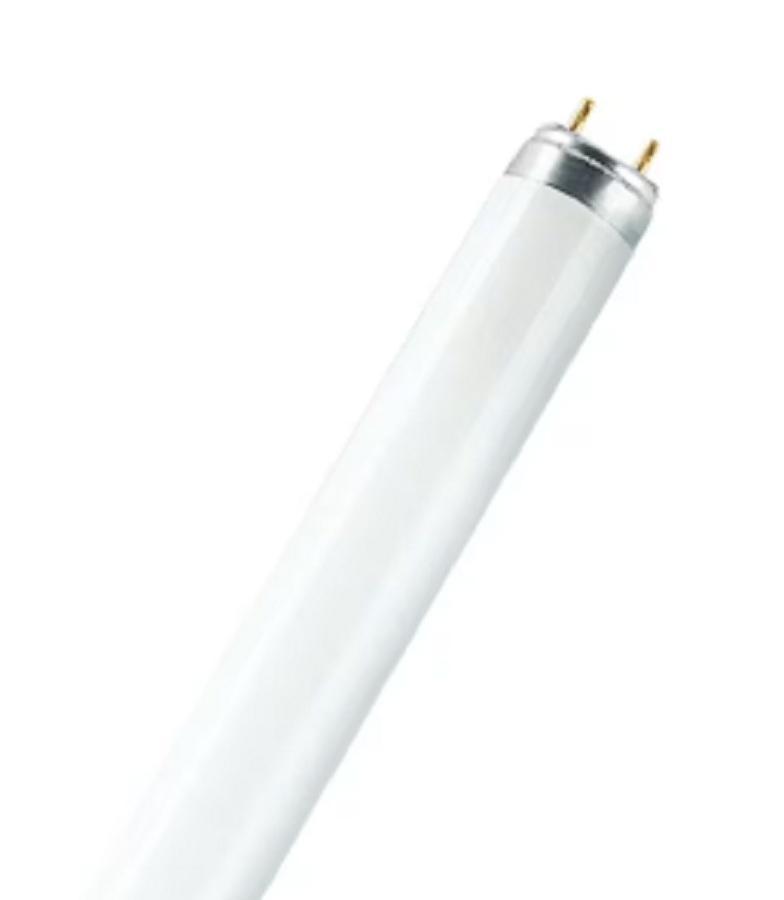 ledvance lampada fluorescente l 15w/840 flh1 g13 - foto 1